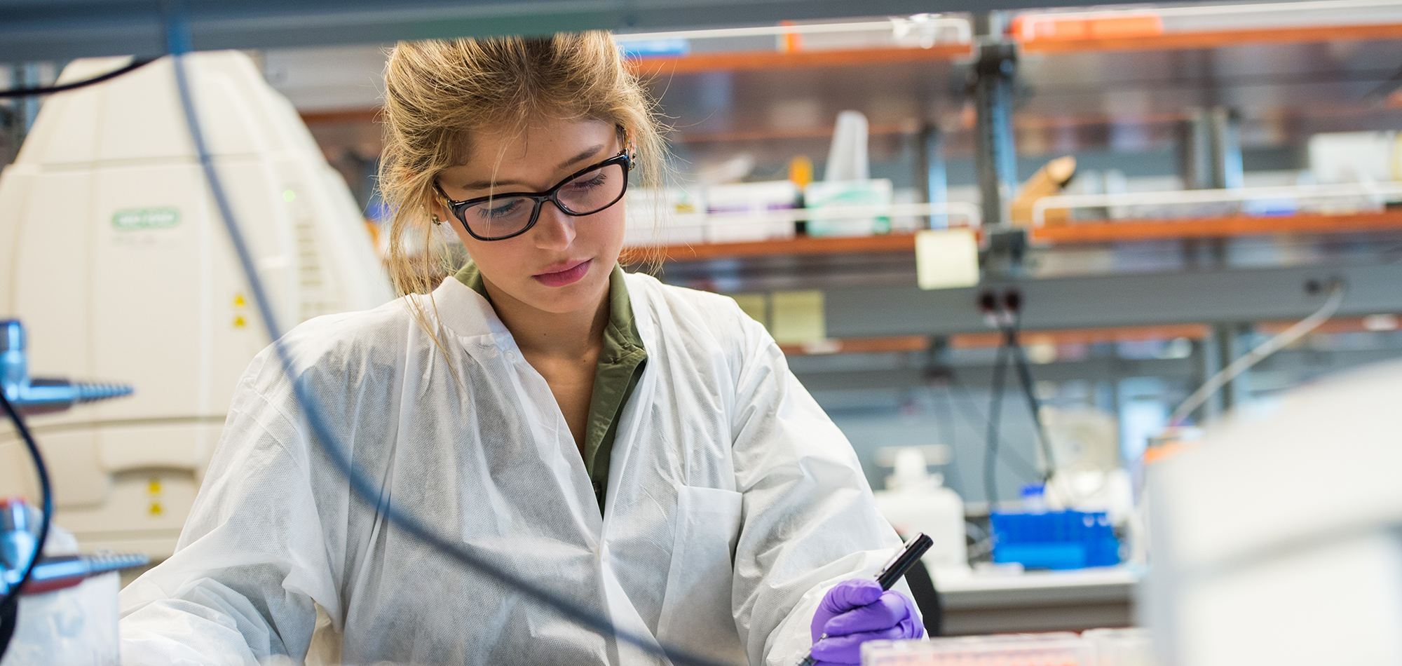 Environmental Health Sciences University at Albany